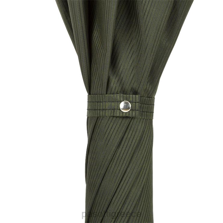 ομπρέλα | PASOTTI 478 6768-6 w37pv - πράσινη ομπρέλα ασημί λαβή λιονταριού 2N6B879 άνδρες